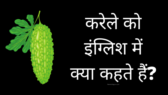 करेले को इंग्लिश में क्या कहते हैं? (karela ko english mein kya kahate hain)