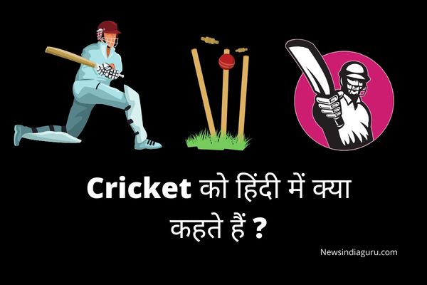 Cricket Ko Hindi Mein Kya Kahate hain