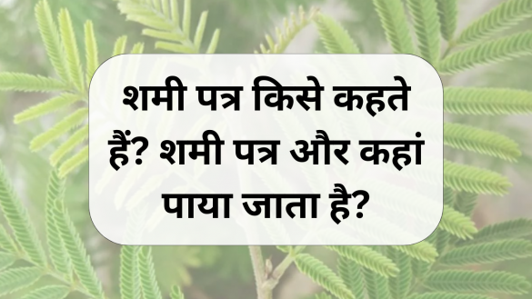 shami patra kya hai