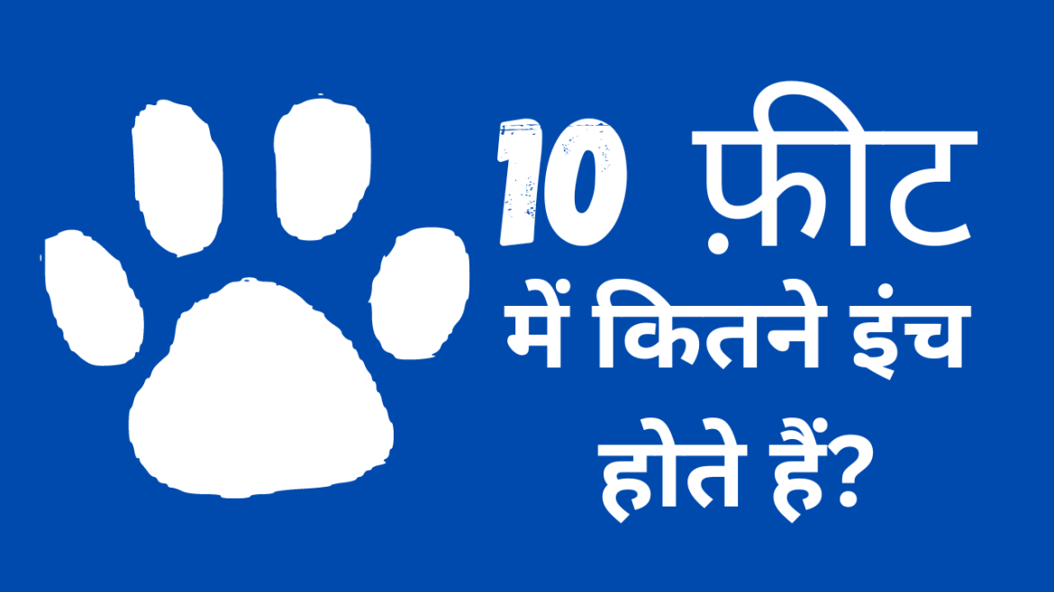 10 foot mein kitne inch hote hain