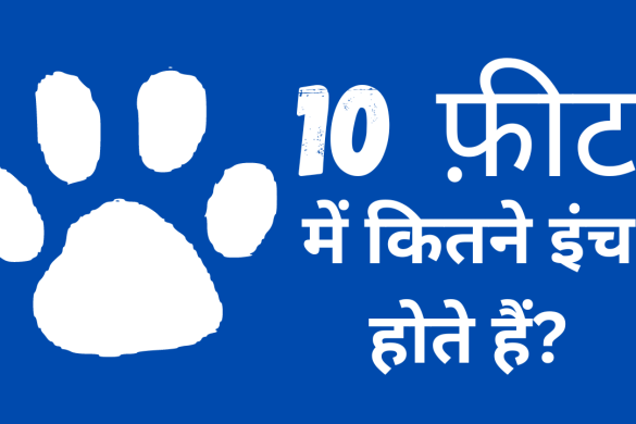  Solar System In Hindi News India Guru