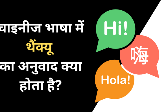 Alternative Number Meaning In Hindi Alternative Number 
